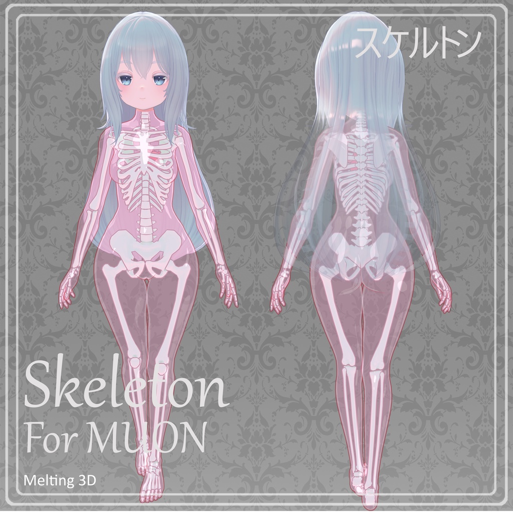 Skeleton for Muon「ミュオン」