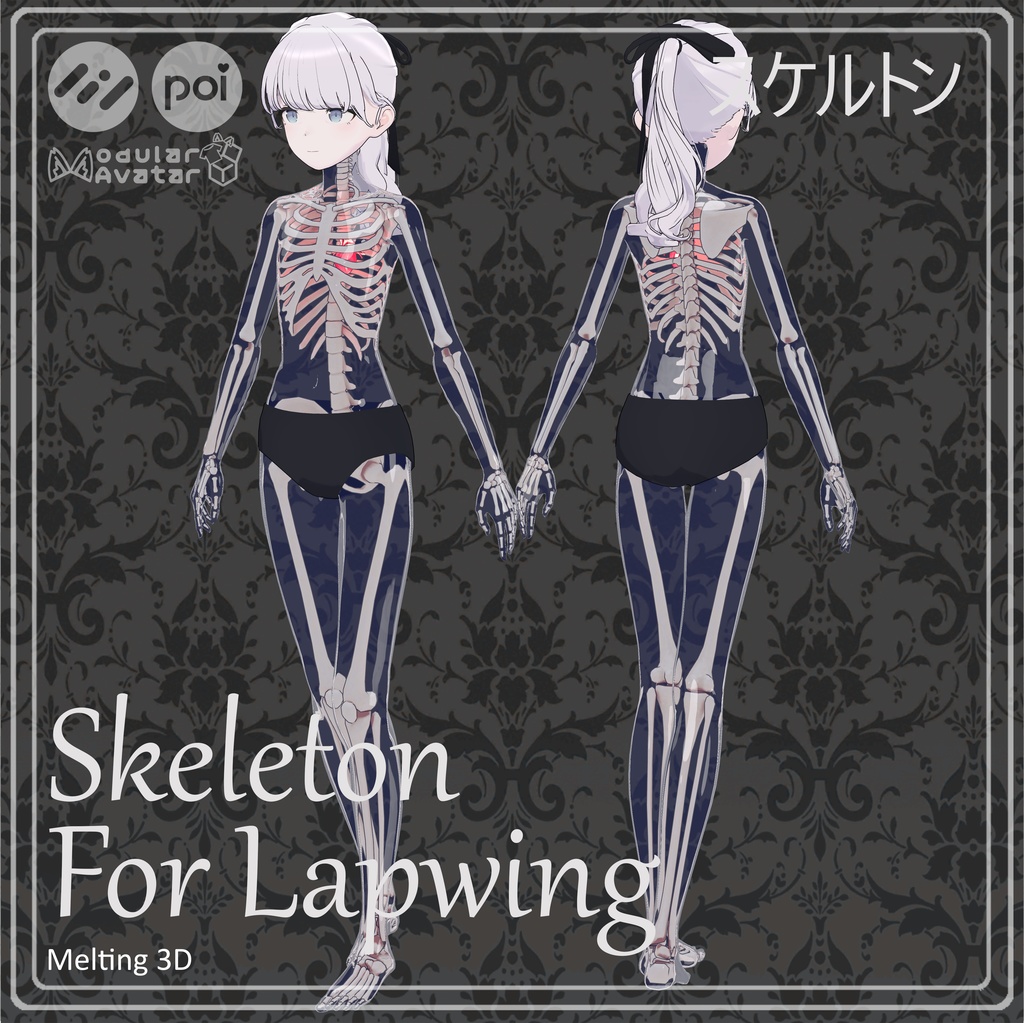 Skeleton and skull for Lapwing