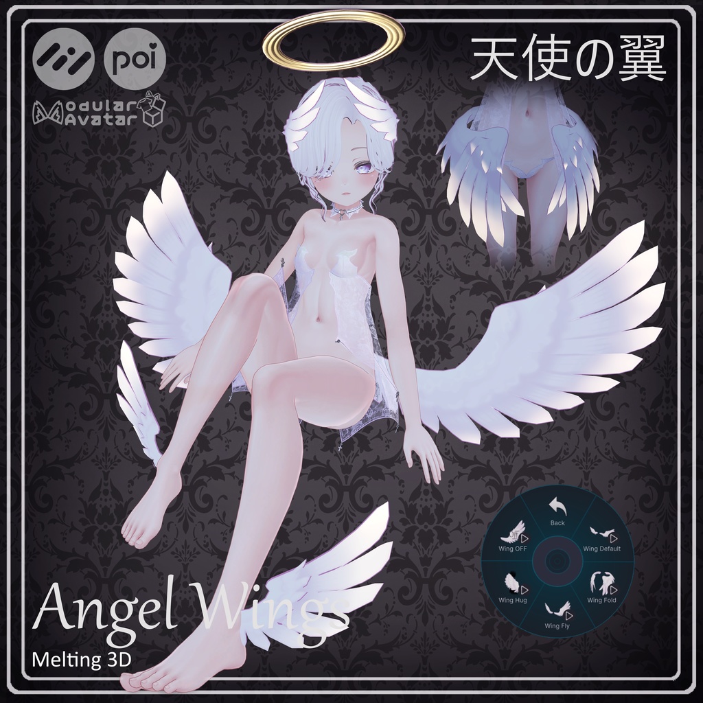 Angel Wings and Halos 天使の翼