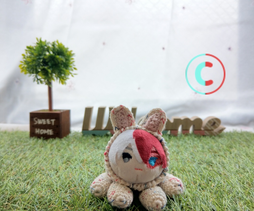 もちマス用衣装‐うさぎさん‐