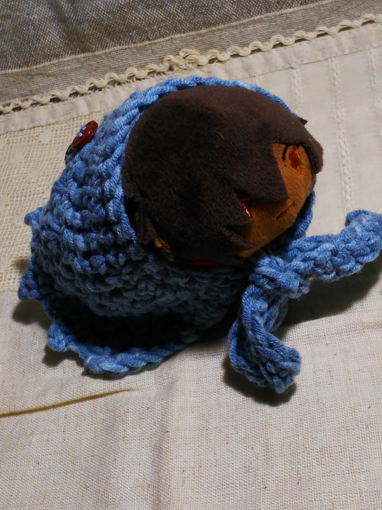 皐月の祭お披露目ケープ