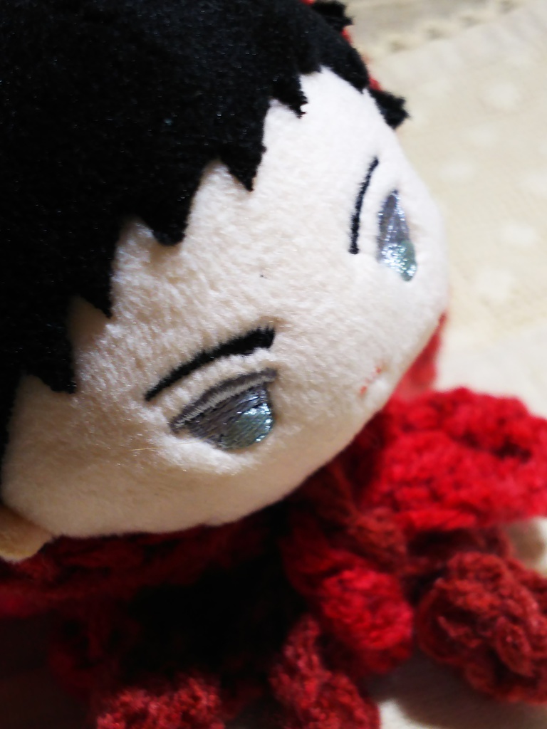 皐月の祭お披露目ケープ