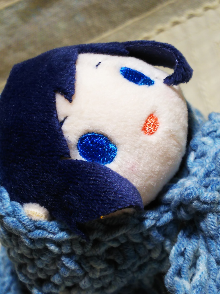 皐月の祭お披露目ケープ