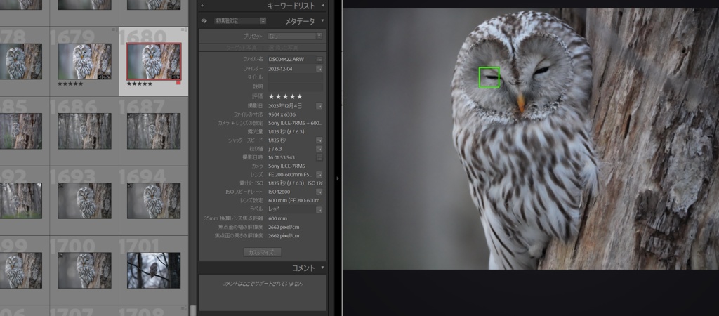 FocusVisualizer(Lightroomclassicプラグイン)フォーカス枠可視化ツール