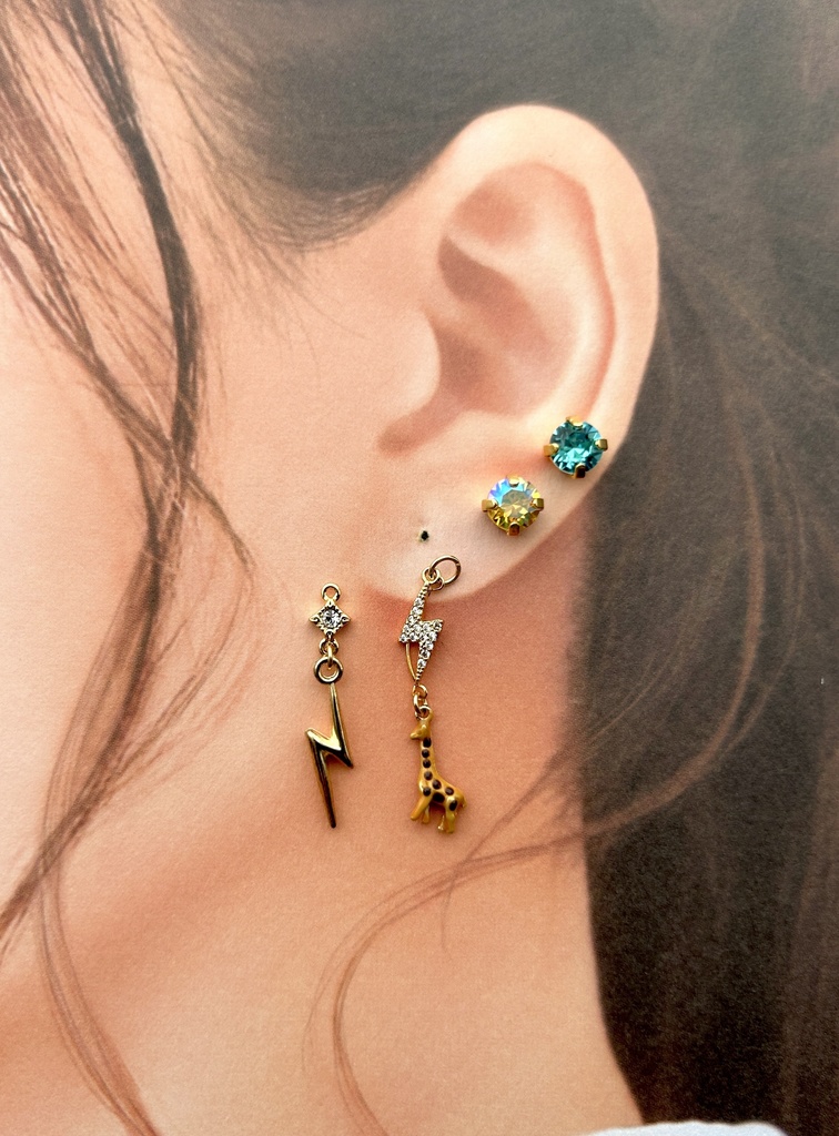 【🌈🕒】🌩️🦒イヤリング/ピアス