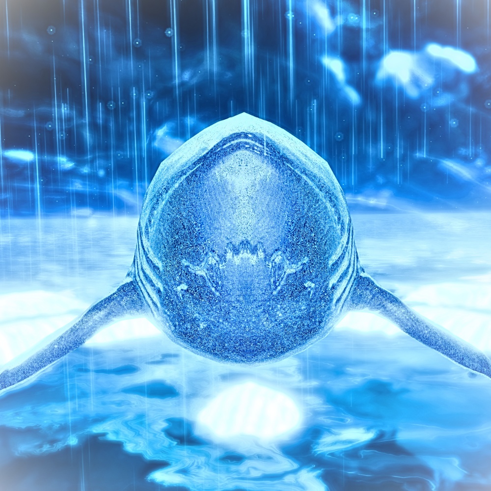 【召喚ギミック】鮫召喚/Shark summon