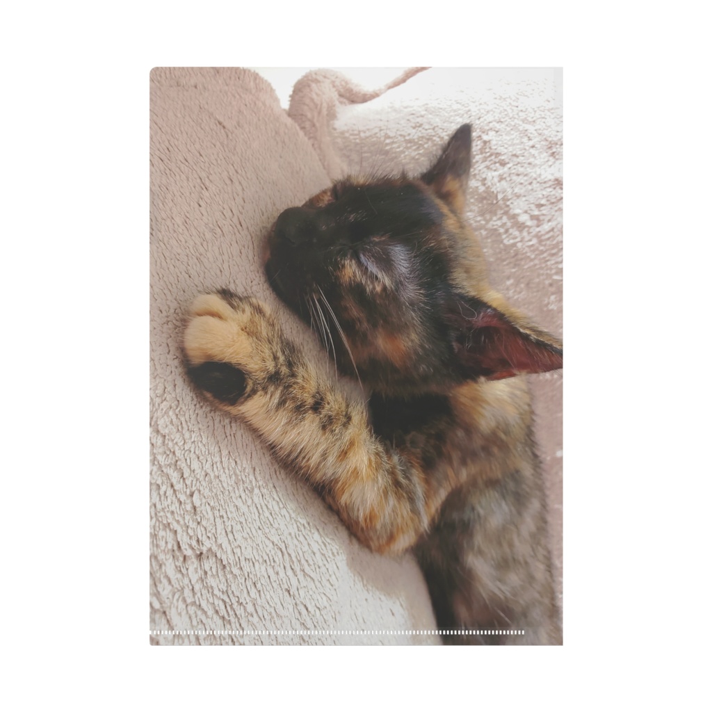 かえでクリアファイル