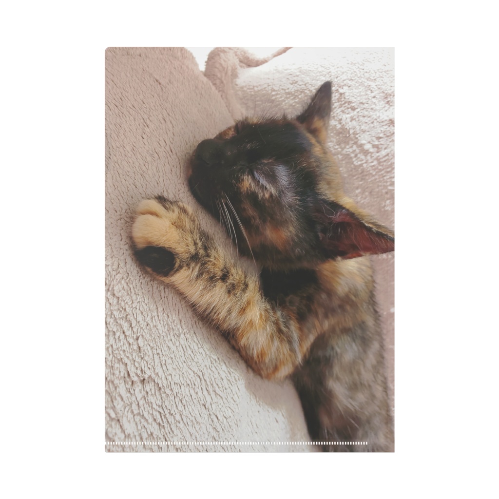 クリアファイル ハロウィンVer.