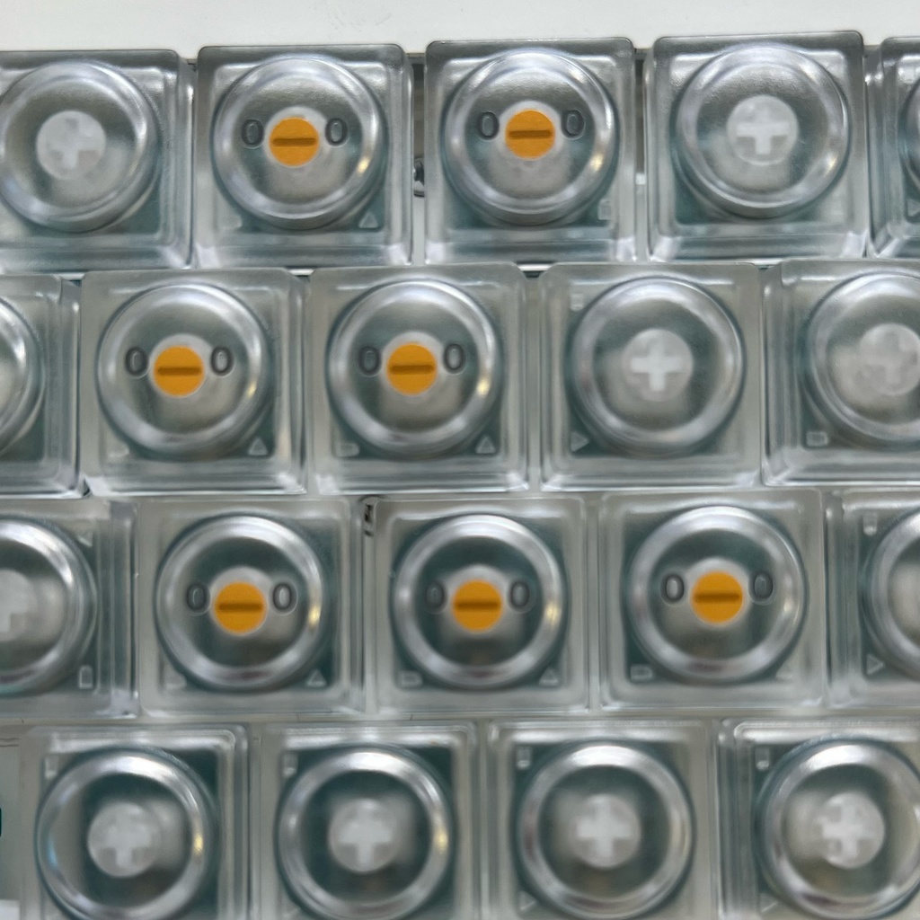 esa トリ DOYSキーキャップ (透明)