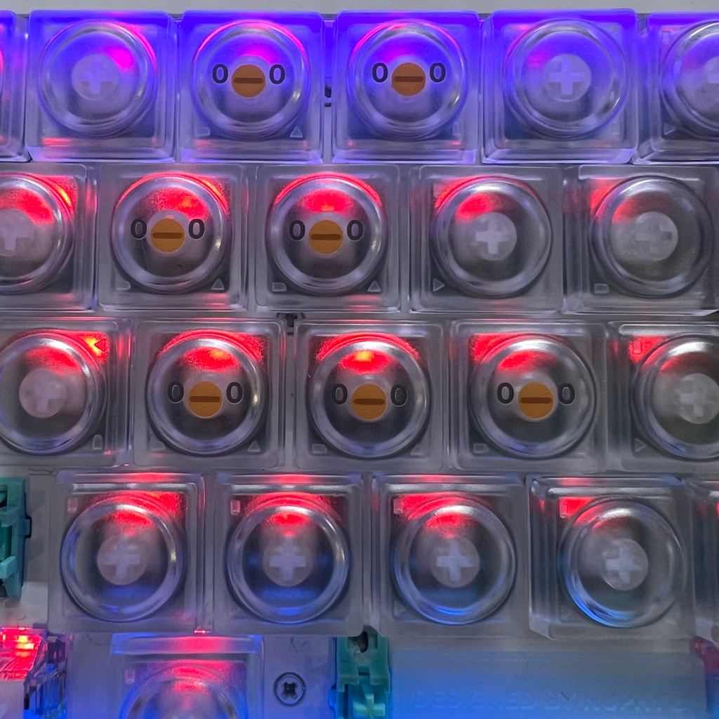 esa トリ DOYSキーキャップ (透明)