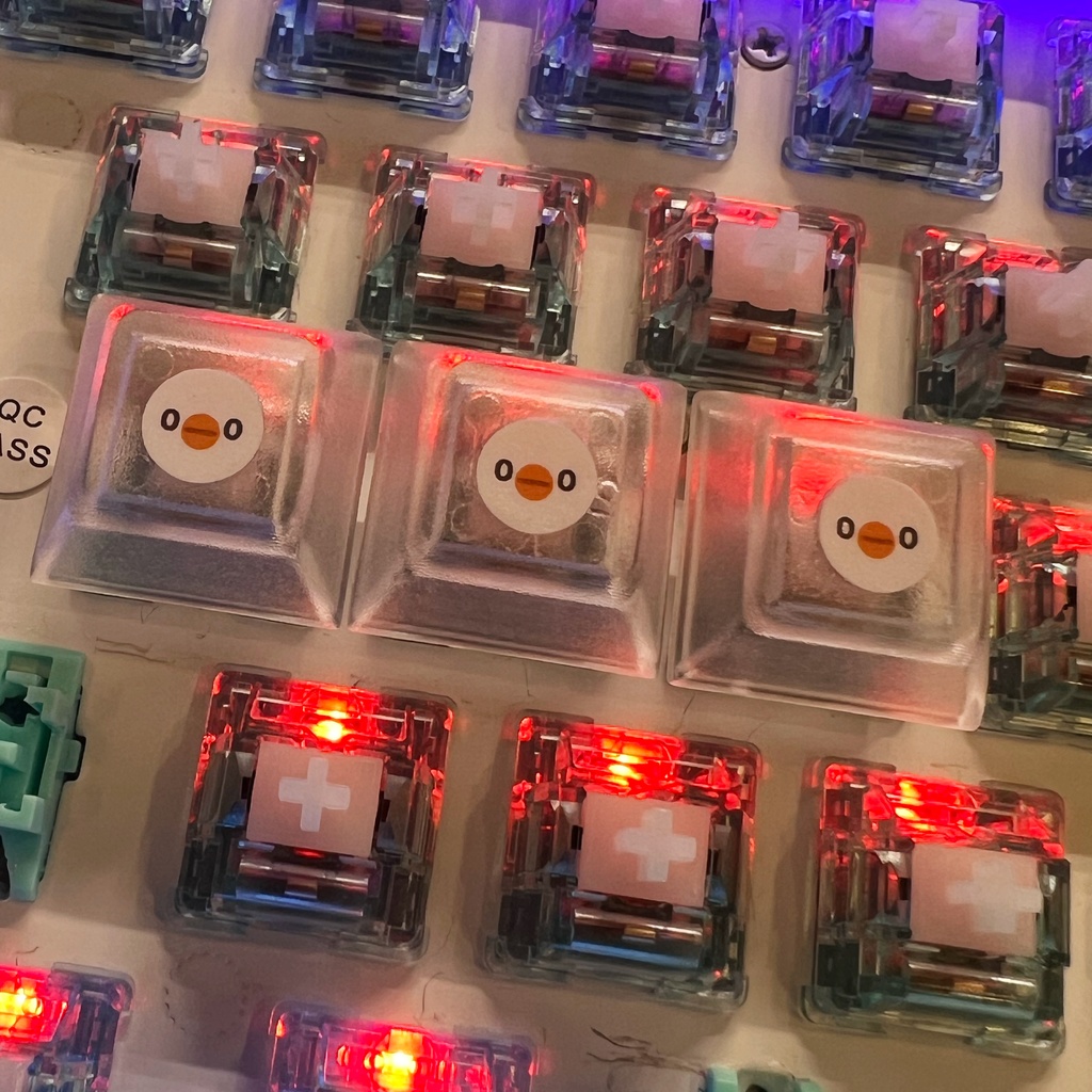 esa トリキーキャップ (DSA・透明・丸+顔)