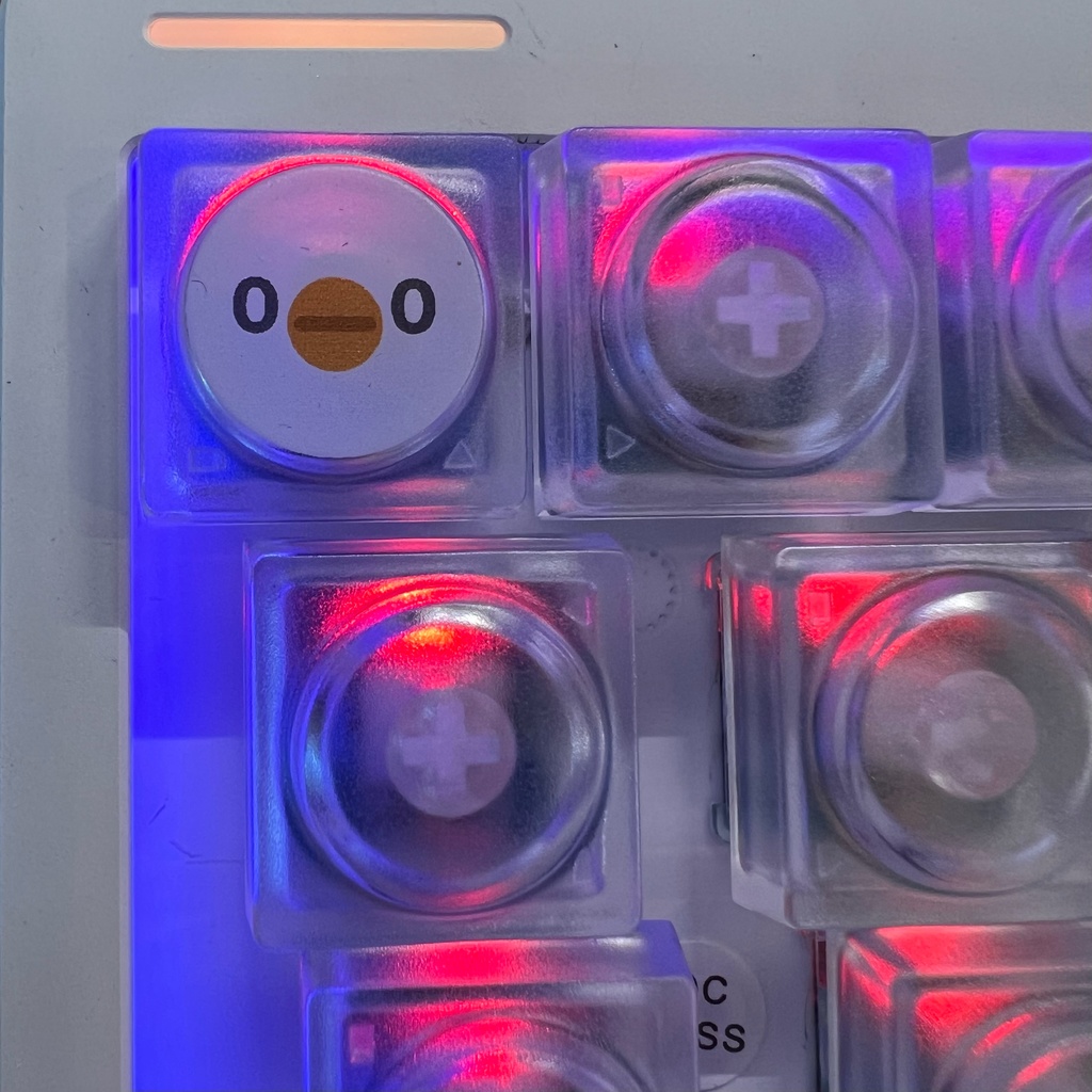 esa トリ DOYSキーキャップ (透明+白顔)