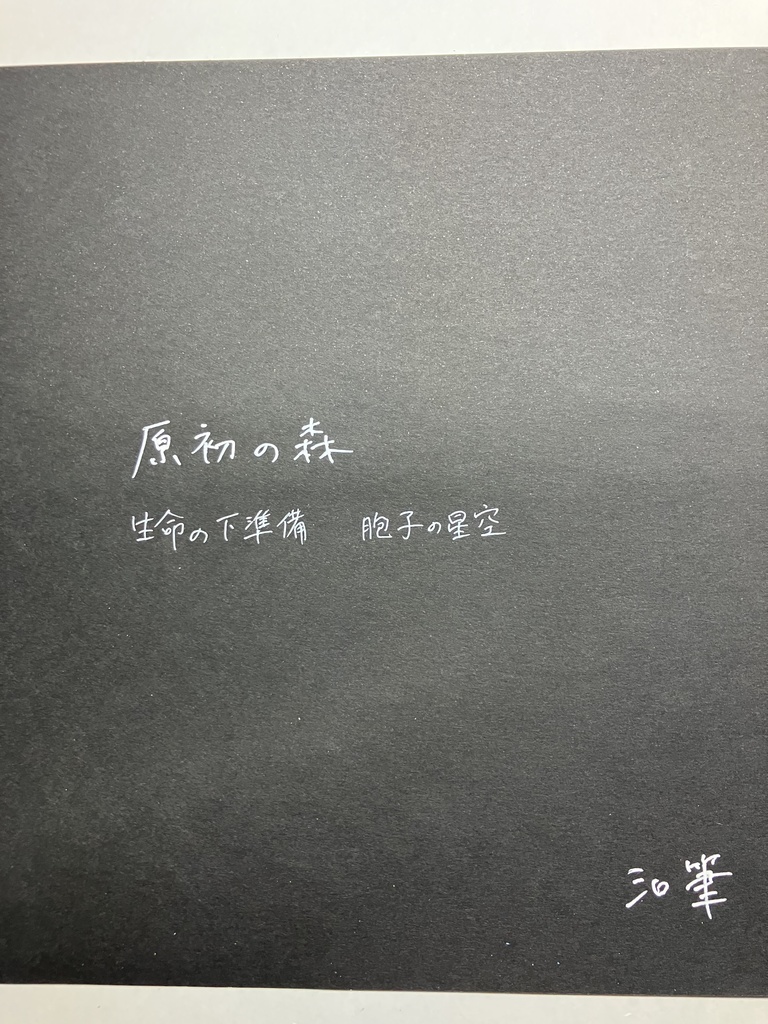 原初の森(ステンドグラス風)