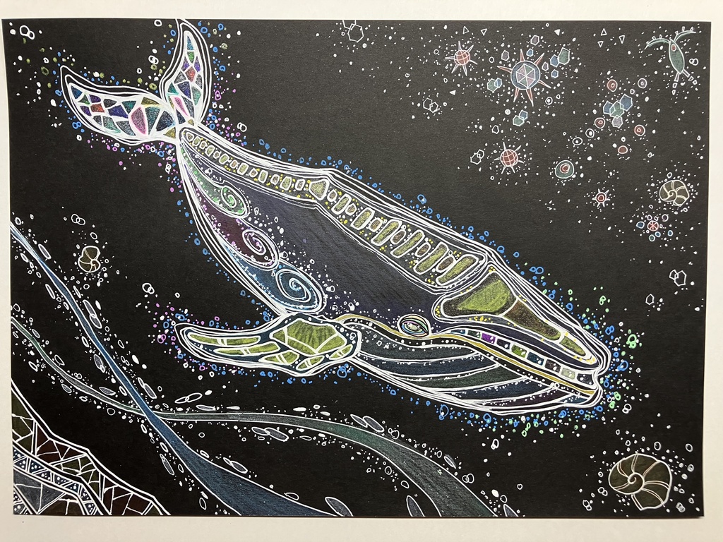 シンシュウセミクジラとプランクトン