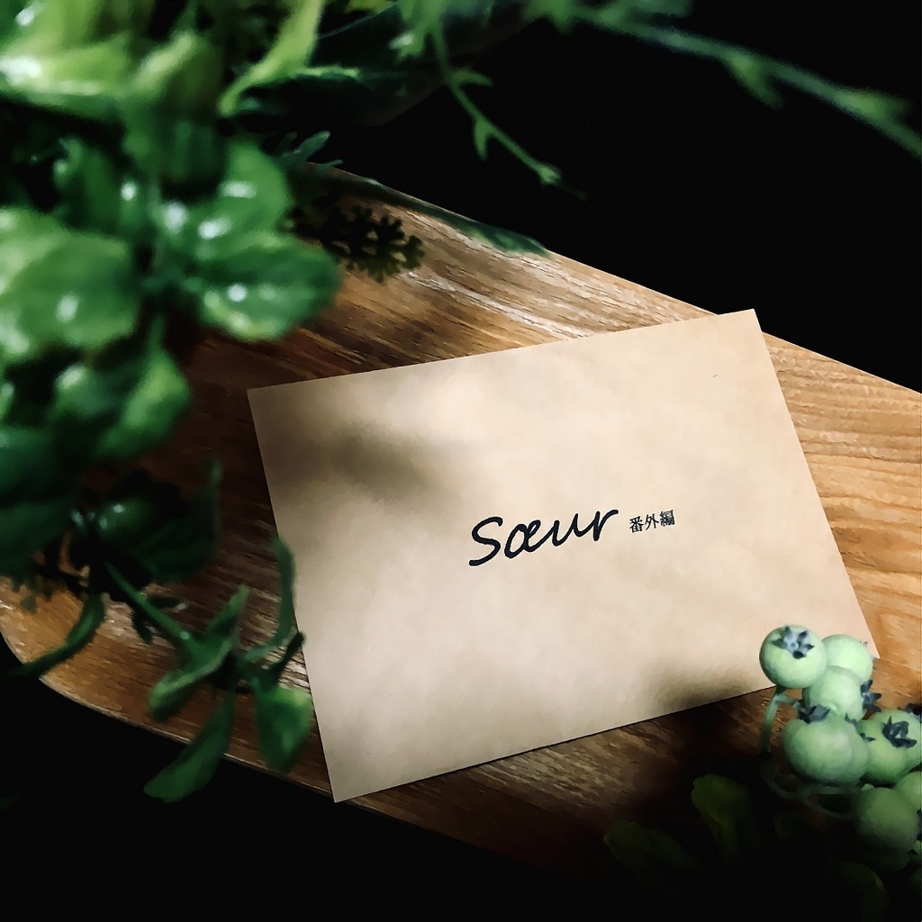 Soeur -世界の頂点でDanceを!- (※おまけSS付)