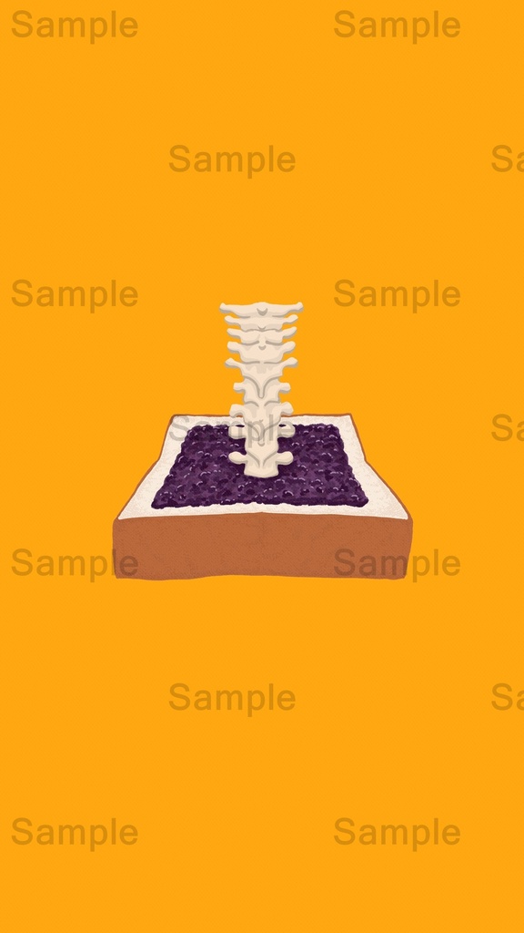 【DL】 胸椎/人体シリーズ