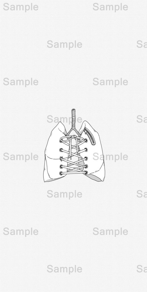 【DL】 肺/人体シリーズ