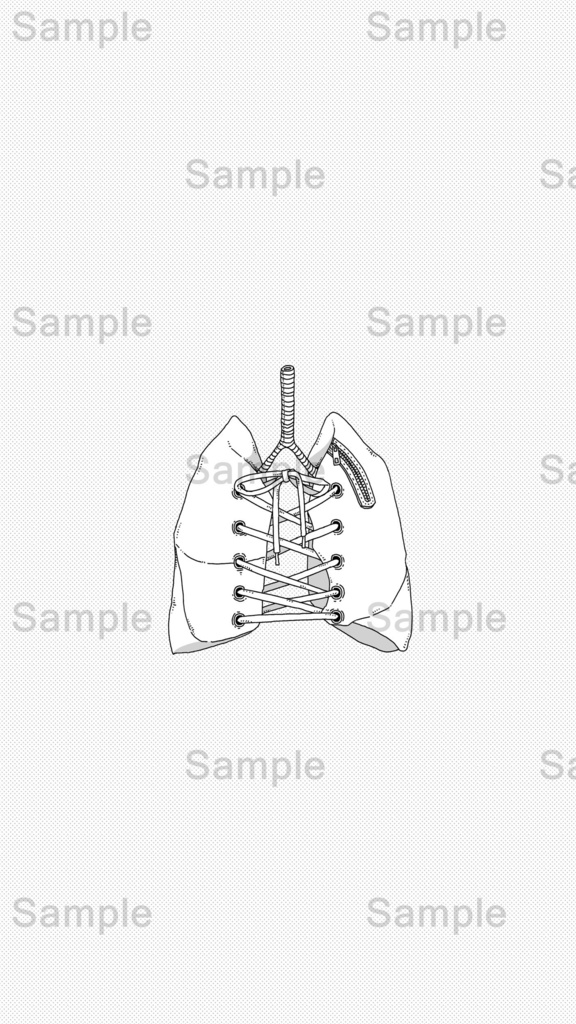 【DL】 肺/人体シリーズ