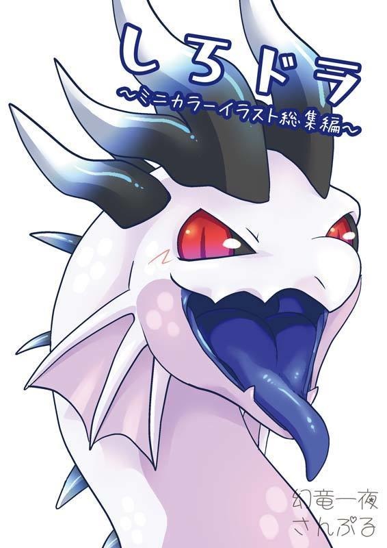 【C104新刊】2日目 幻竜一夜新刊4種