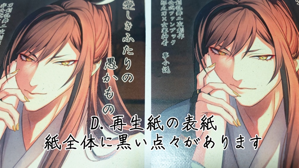 【刀剣乱舞二次創作】愛しきふたりの愚かもの【夢小説】