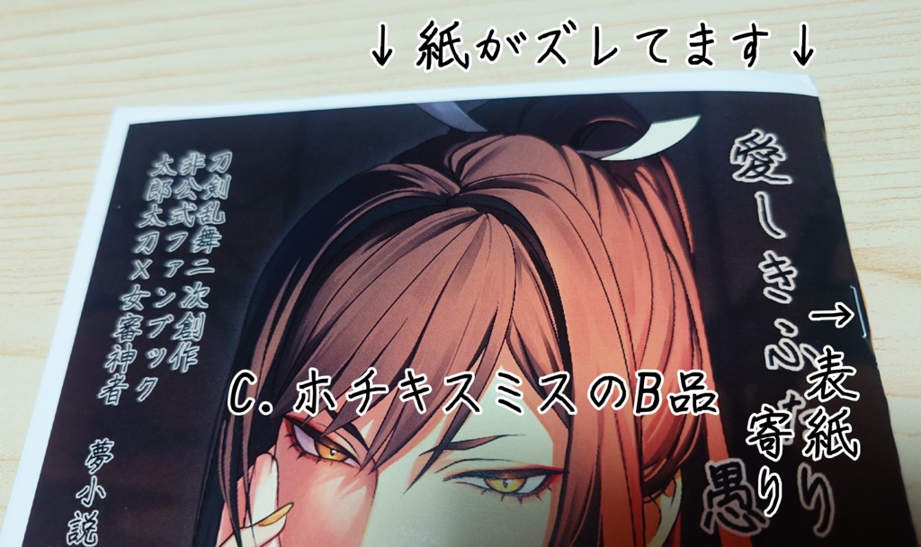 【刀剣乱舞二次創作】愛しきふたりの愚かもの【夢小説】