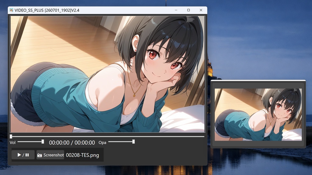 動画プレーヤー  別ウインドでスクショ確認できる [260701_1902]V2.4_VIDEO_SS_PLUS