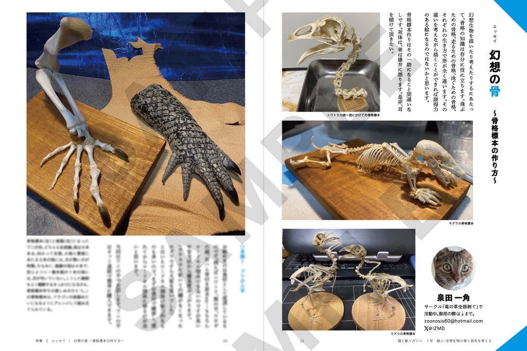 龍と獣マガジン 1号