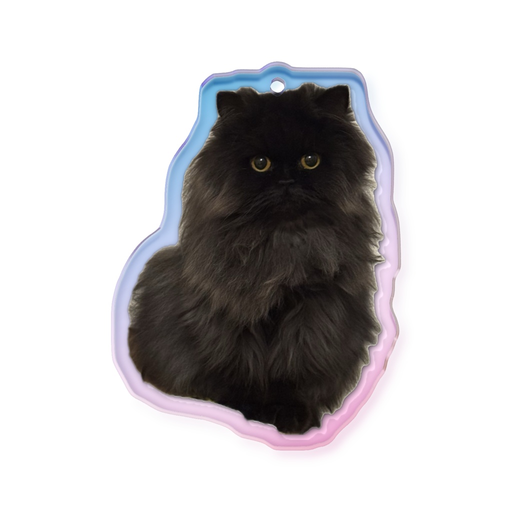 ちゅ～たんアクキー