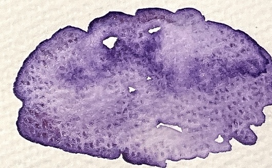 ぶどうスカッシュ🍇