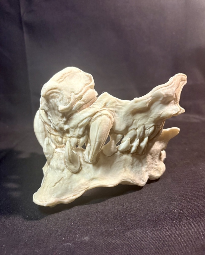 LD-3.2 Bone color