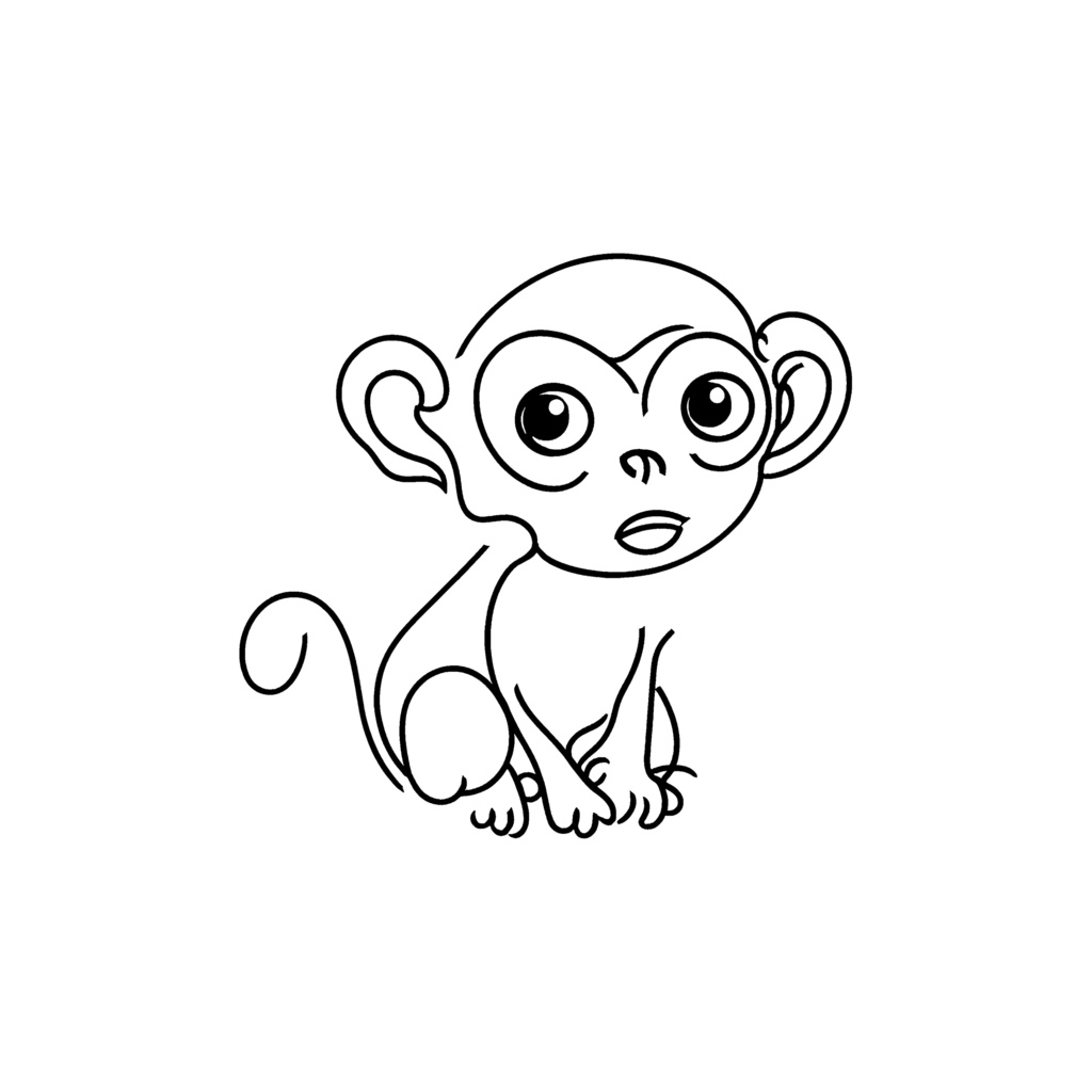 Monkey①