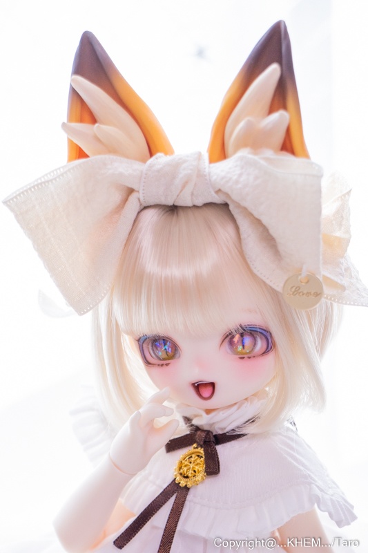 もふキツネ