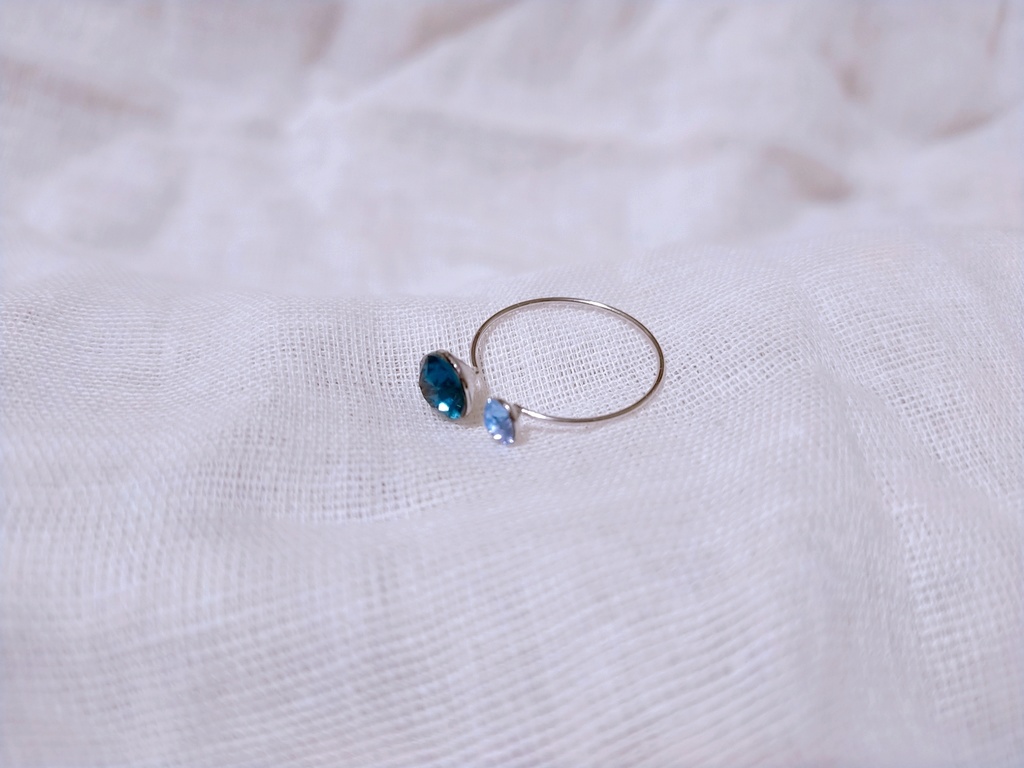 文久土佐組イメージリング