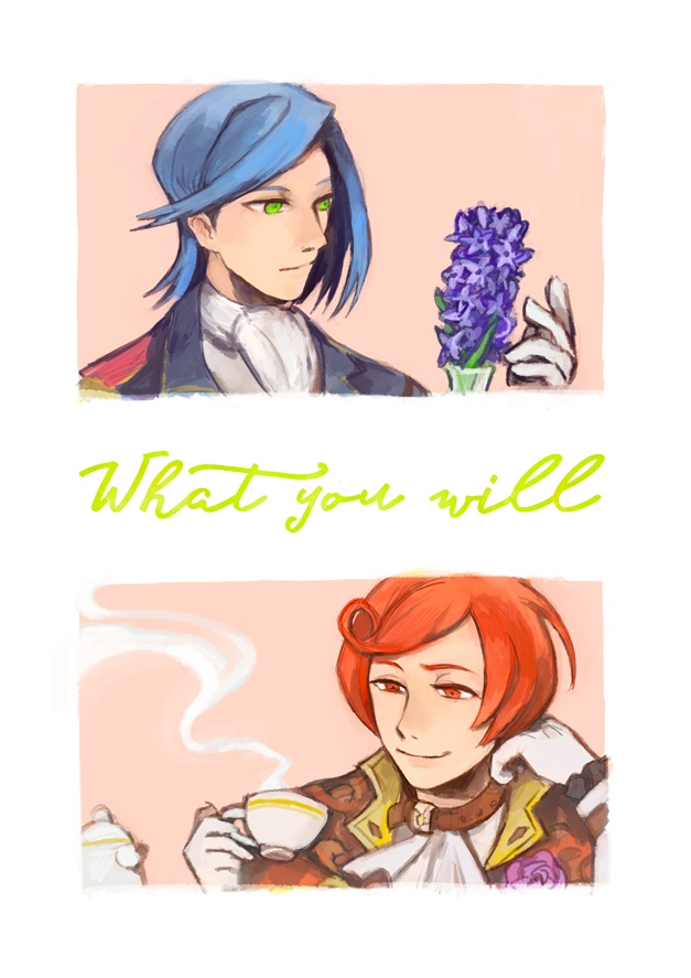 What you will