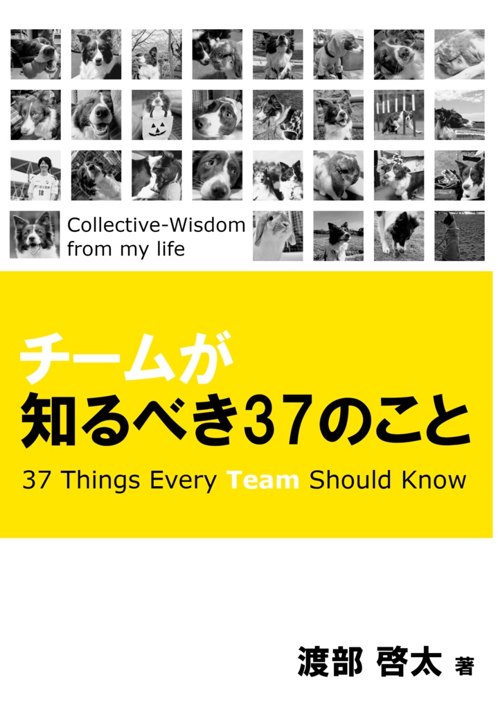 【PDF版】チームが知るべき37のこと