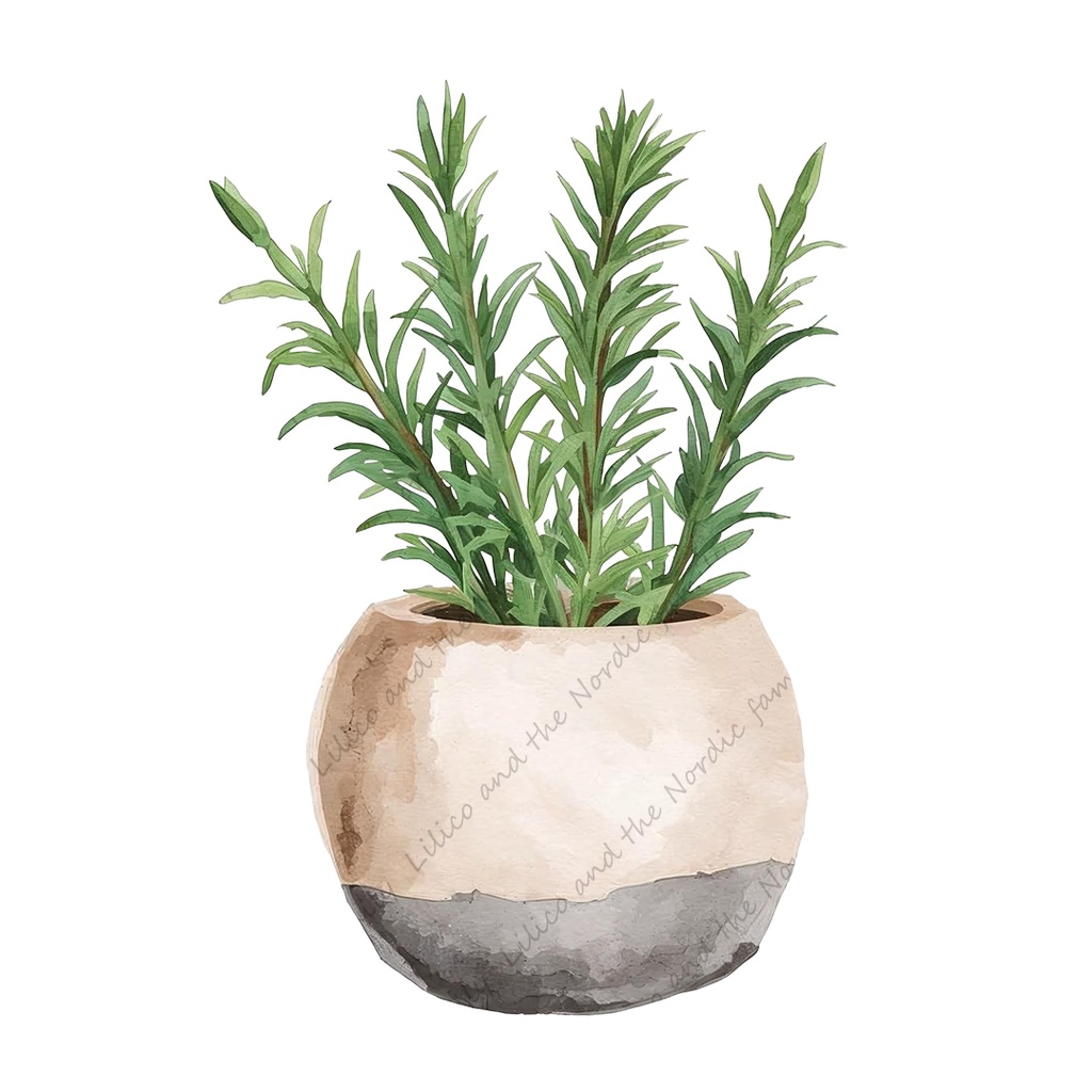 Lilico's familyの北欧インテリア-Living room クリップアート11点|背景透過PNG・商用OK・SNS&ブログに最適!