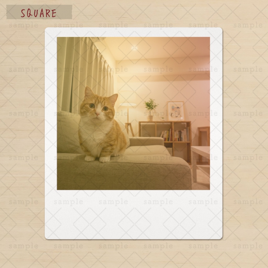 【Canva】写真をドラッグするだけ!レトロなインスタントカメラ風フレームセット(3サイズ+加工フィルタ付き)