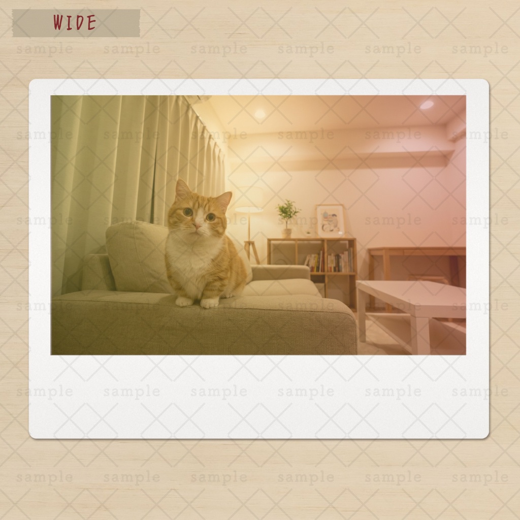 【Canva】写真をドラッグするだけ!レトロなインスタントカメラ風フレームセット(3サイズ+加工フィルタ付き)