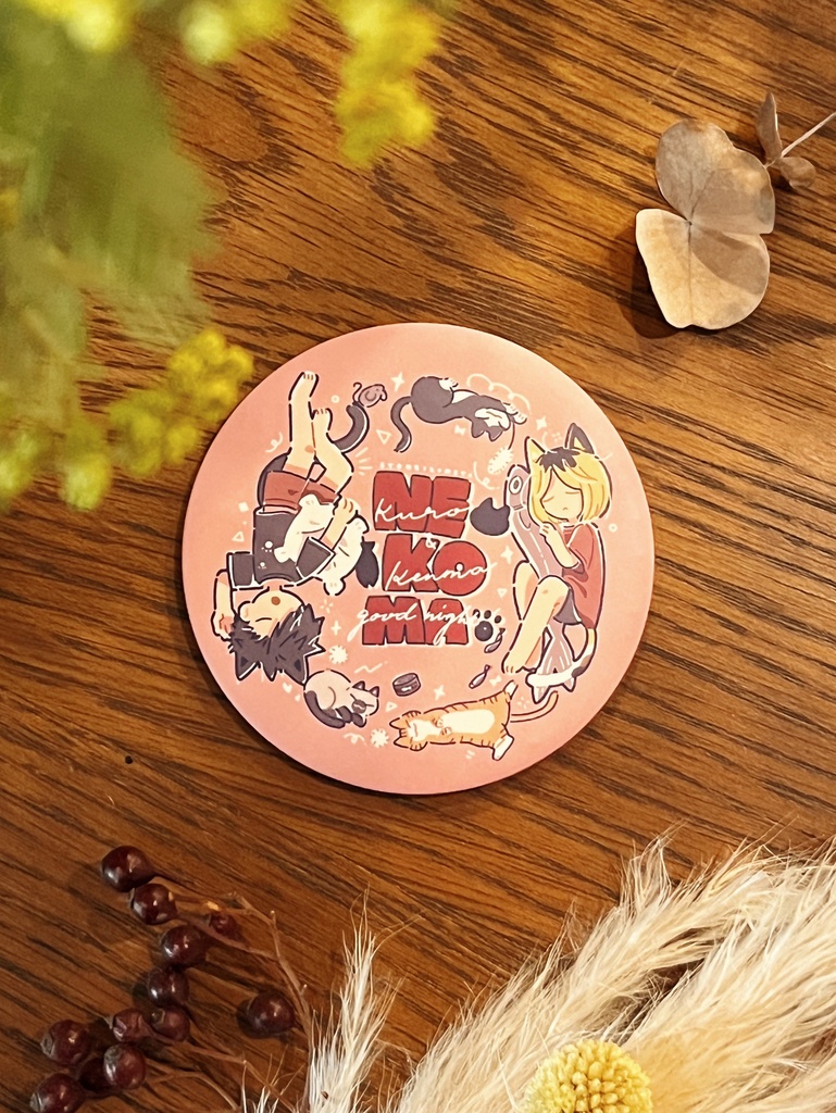 【缶ミラー】ハイキュー