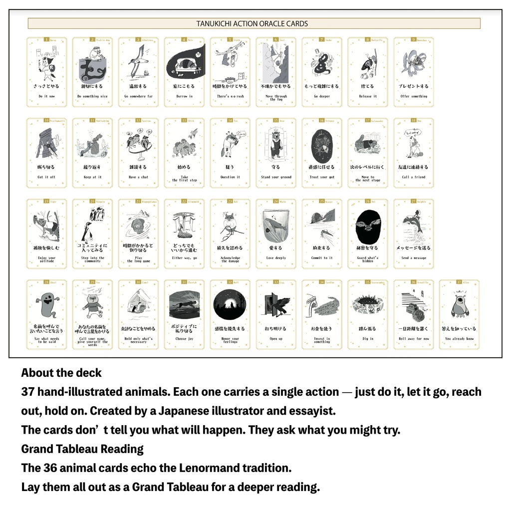 【英語版】5枚スプレッド+AI解説