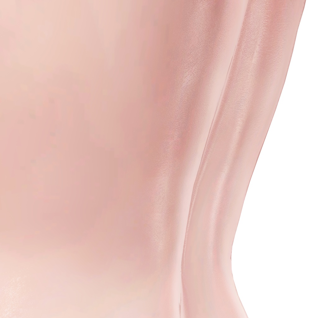 【SALE!】Shiny Real Skin Material【Liltoon】