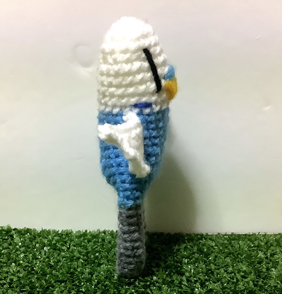 イソコ(セキセイブルー)