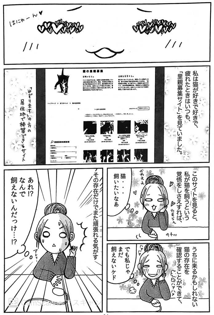 実録 ねこかわええ