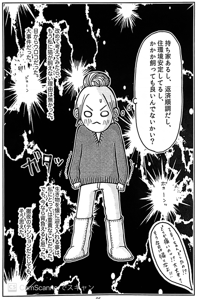 実録 ねこかわええ