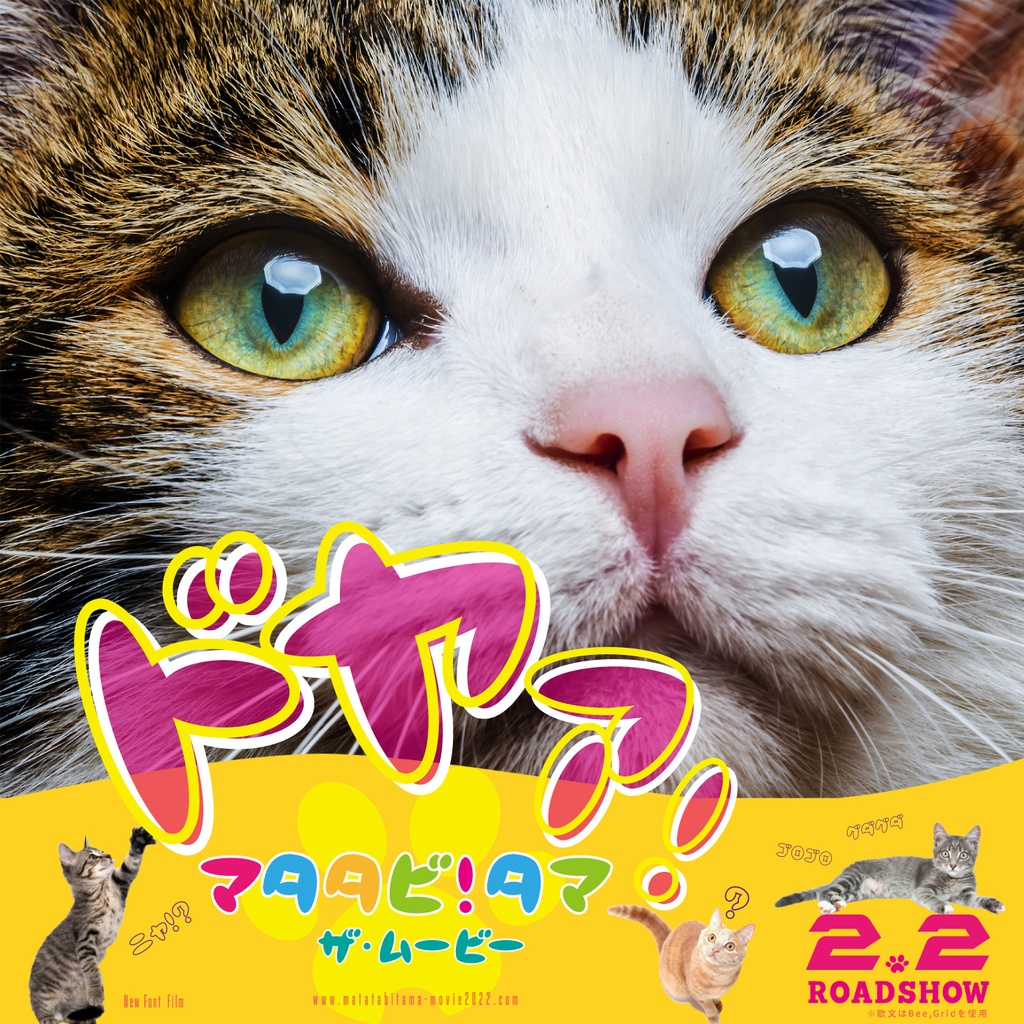 ドラネコ(2セット)