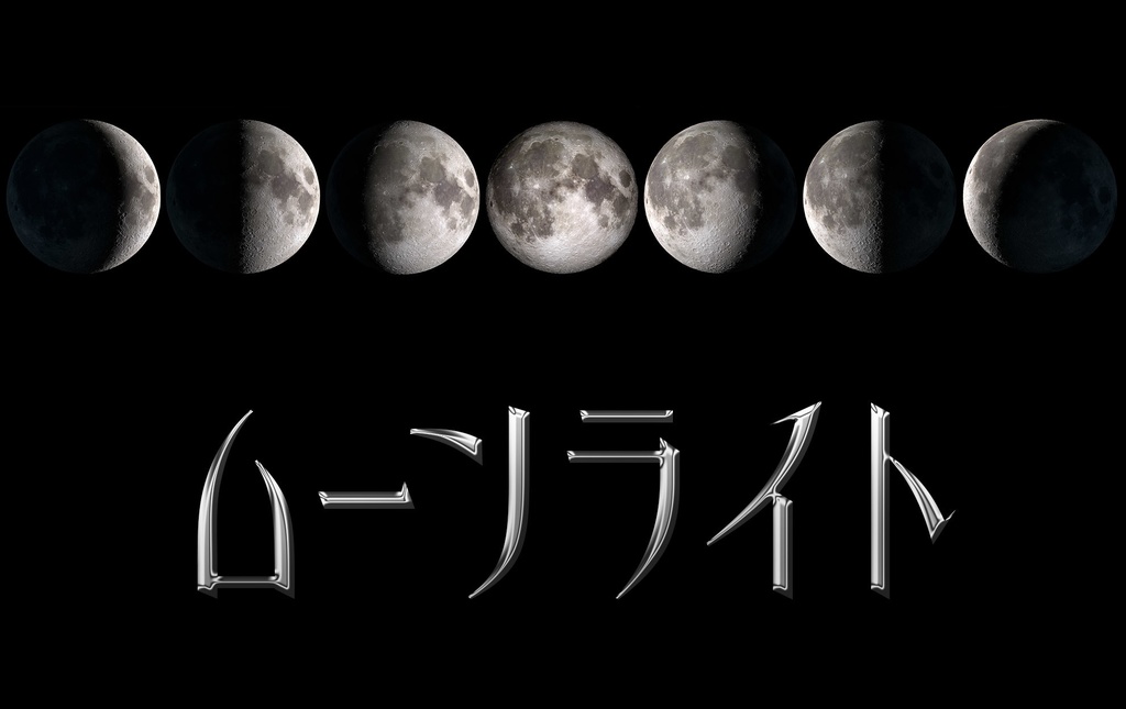 アビシニアン(ファミリー4セット+バリアブル)
