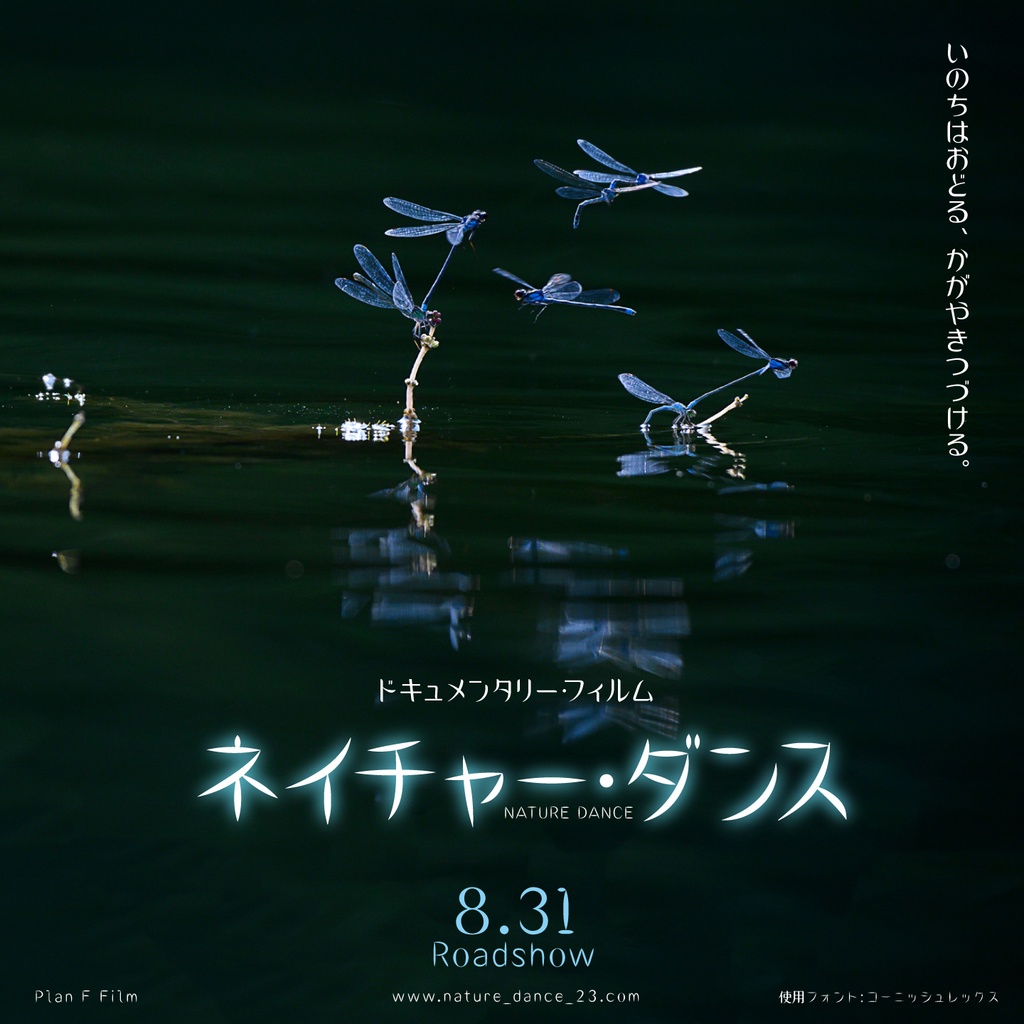 コーニッシュレックス