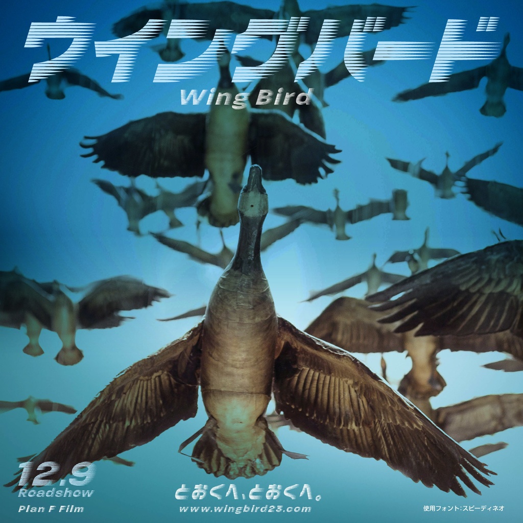 スピーディネオ(2セット)