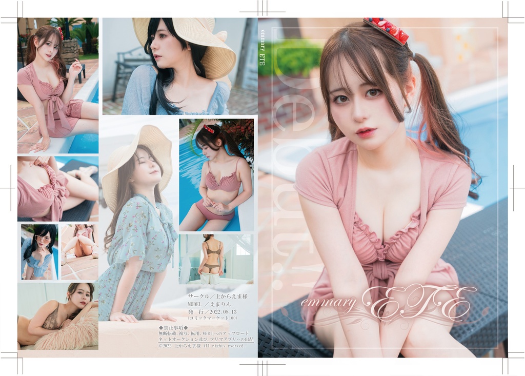 C100 EMMA ete ROM単品