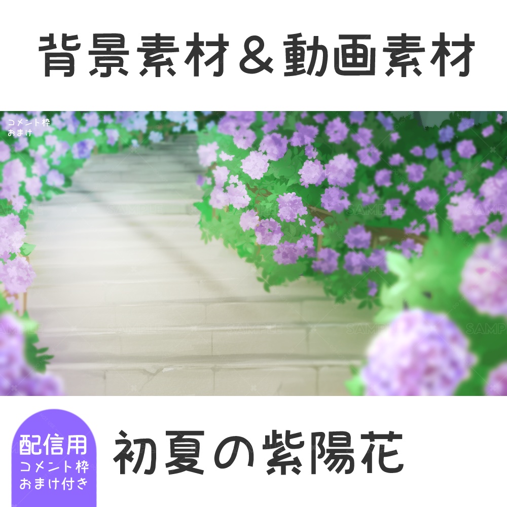 【期間限定無料配布】初夏の紫陽花-画像&動画素材